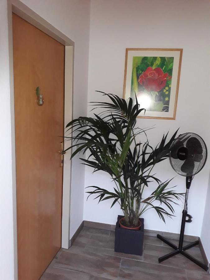 Obsthof Glueck Bed and Breakfast Gamlitz Buitenkant foto